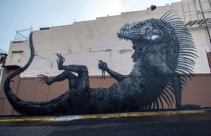 roa street art